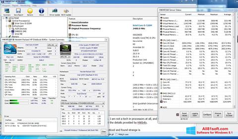Skärmdump HWiNFO för Windows 8.1