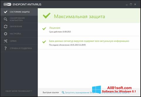 Skärmdump ESET Endpoint Antivirus för Windows 8.1