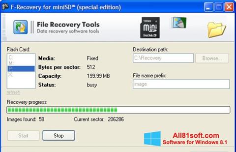 Skärmdump F-Recovery SD för Windows 8.1