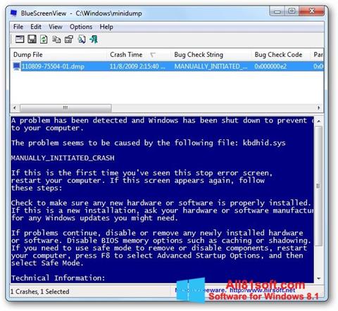 Skärmdump BlueScreenView för Windows 8.1