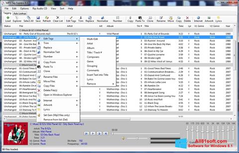 Skärmdump Mp3tag för Windows 8.1