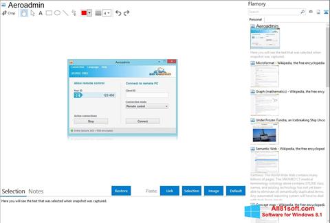 Skärmdump AeroAdmin för Windows 8.1
