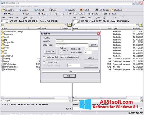 Skärmdump File Master för Windows 8.1
