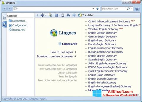 Skärmdump Lingoes för Windows 8.1