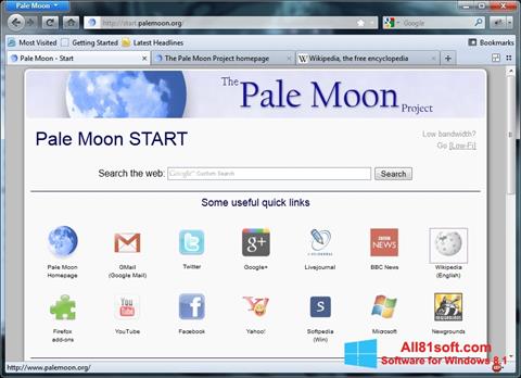 Skärmdump Pale Moon för Windows 8.1