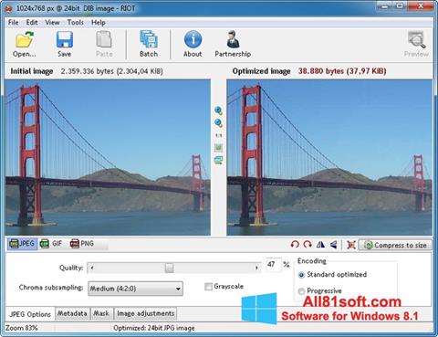 Skärmdump RIOT för Windows 8.1