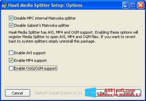 Skärmdump Haali Media Splitter för Windows 8.1