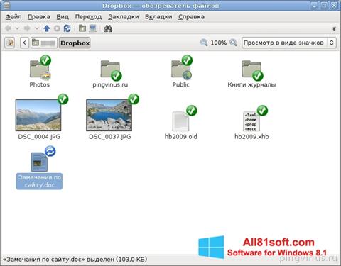 Skärmdump Dropbox för Windows 8.1