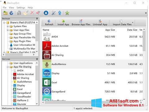 Skärmdump iBackupBot för Windows 8.1