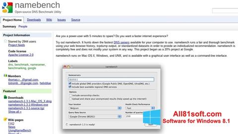 Skärmdump NameBench för Windows 8.1