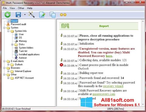 Skärmdump Multi Password Recovery för Windows 8.1