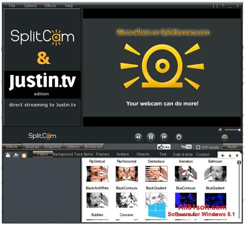 Skärmdump SplitCam för Windows 8.1
