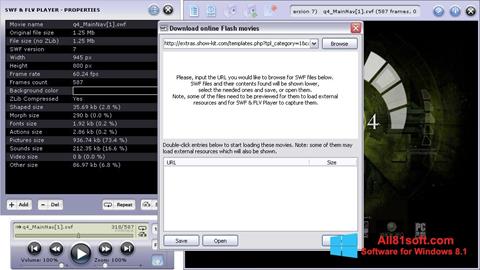 Skärmdump FLV Player för Windows 8.1