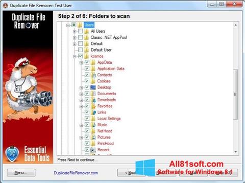 Skärmdump Duplicate File Remover för Windows 8.1
