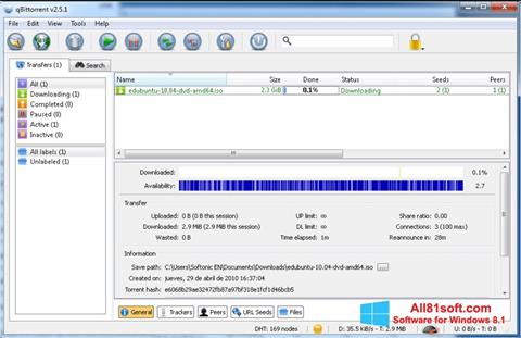 Skärmdump qBittorrent för Windows 8.1