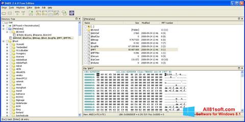 Skärmdump DMDE för Windows 8.1