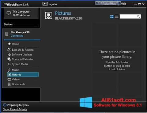 Skärmdump BlackBerry Link för Windows 8.1