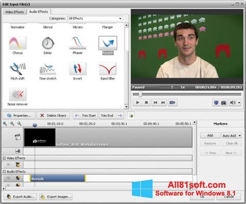 Skärmdump AVS Video Converter för Windows 8.1