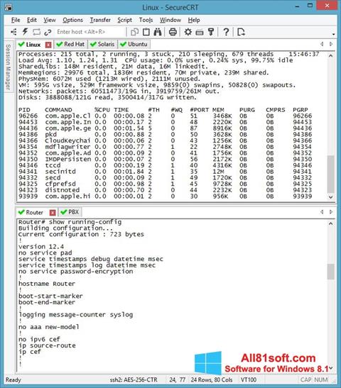 Skärmdump SecureCRT för Windows 8.1
