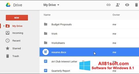 Skärmdump Google Drive för Windows 8.1