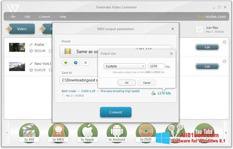 Skärmdump Freemake Video Converter för Windows 8.1