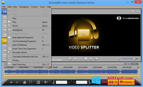 Skärmdump SolveigMM Video Splitter för Windows 8.1