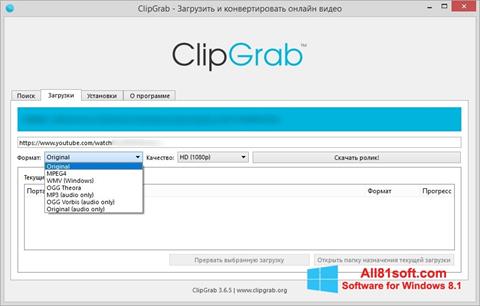 Skärmdump ClipGrab för Windows 8.1