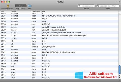 Skärmdump FileMon för Windows 8.1