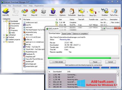 Skärmdump Internet Download Manager för Windows 8.1