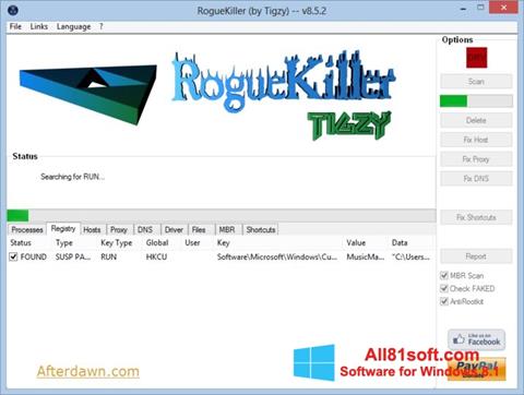 Skärmdump RogueKiller för Windows 8.1