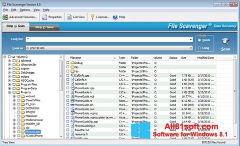 Skärmdump File Scavenger för Windows 8.1