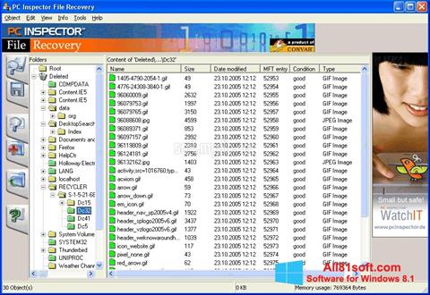 Skärmdump PC Inspector File Recovery för Windows 8.1