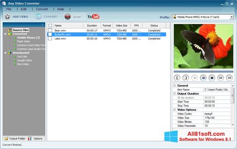 Skärmdump Any Video Converter för Windows 8.1