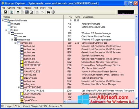 Skärmdump Process Explorer för Windows 8.1