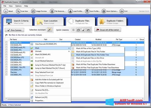 Skärmdump Duplicate Cleaner för Windows 8.1