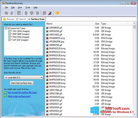Skärmdump Pandora Recovery för Windows 8.1