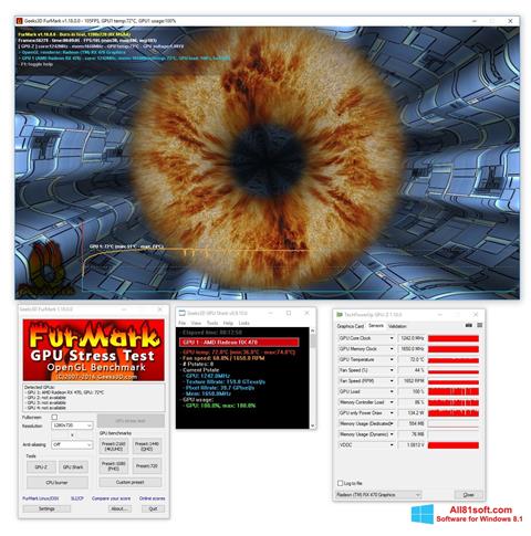 Skärmdump FurMark för Windows 8.1