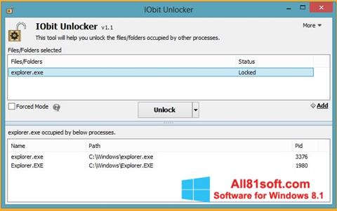 Skärmdump IObit Unlocker för Windows 8.1
