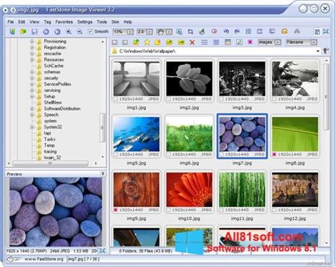 Skärmdump FastStone Image Viewer för Windows 8.1