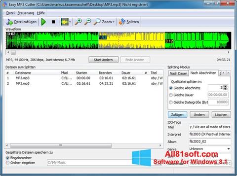 Skärmdump MP3 Cutter för Windows 8.1