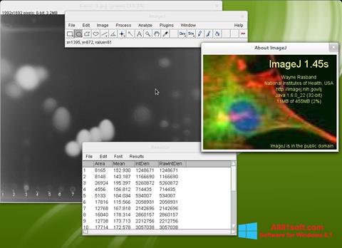 Skärmdump ImageJ för Windows 8.1