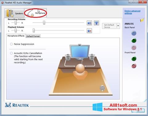 Skärmdump Realtek Audio Driver för Windows 8.1