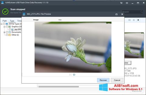 Skärmdump USB Flash Drive Recovery för Windows 8.1