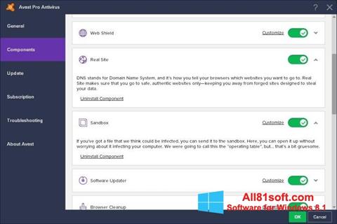 Skärmdump Avast! Pro Antivirus för Windows 8.1